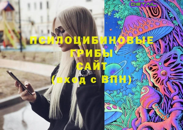 индика Верхнеуральск