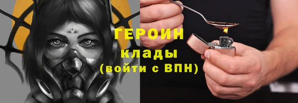 индика Тобольск
